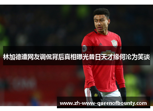 林加德遭网友调侃背后真相曝光昔日天才缘何沦为笑谈