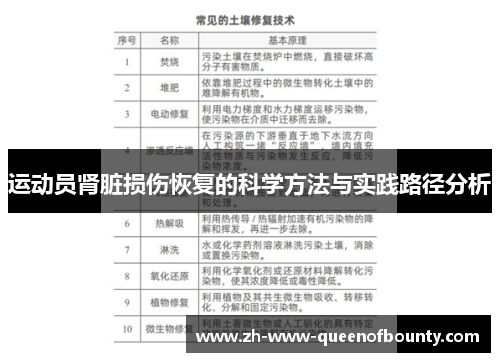 运动员肾脏损伤恢复的科学方法与实践路径分析