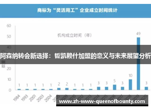 阿森纳转会新选择：哲凯赖什加盟的意义与未来展望分析