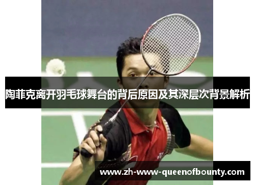陶菲克离开羽毛球舞台的背后原因及其深层次背景解析